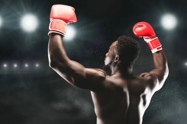 皇冠体育赵雷霆击倒对手赢得全国精英赛冠军